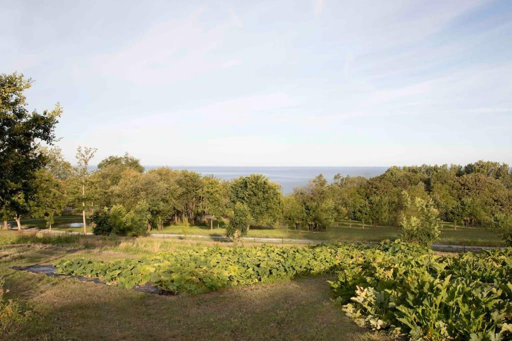 Maison Face A La Dans Un Domaine Ecologique Holiday home *
